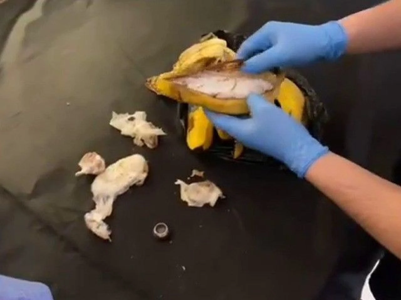 Poşetteki muzların içinden çıkanlar şoke etti! Akılalmaz yöntem