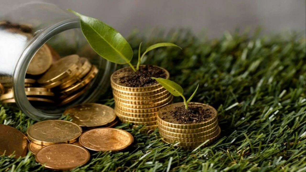 Ünlü ekonomist kağıt paraya 'tuvalet kağıdı' deyip 3 yatırım aracını saydı! - 2. Resim