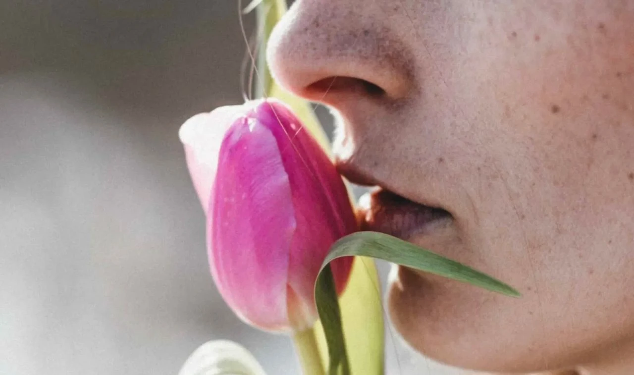 Koku alma duyunuzla ilgili bu 5 gerçeği öğrenince şaşıracaksınız!