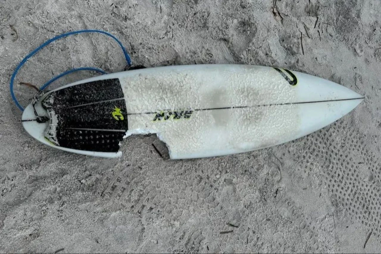 Pratik zekası köpek balığı saldırısından kurtardı! Başına gelenleri bir bir anlattı - 2. Resim