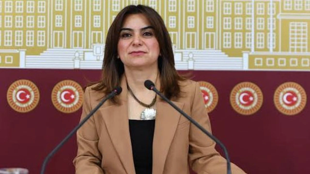 DEM Parti'li Koçyiğit'ten hükümete İmralı çağrısı: Bu süreç sadece gidiş gelişlerle yürümez - 1. Resim
