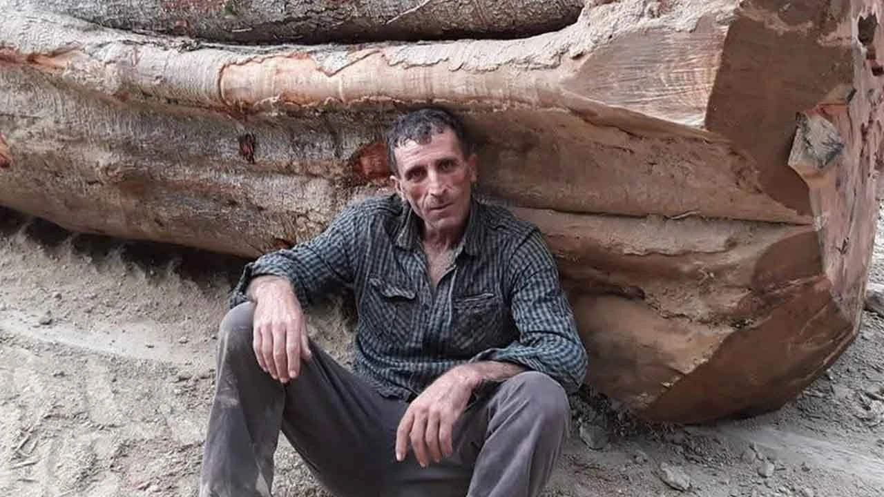 Orman işçisinin feci sonu: Kestiği ağacın altına kalarak can verdi - 1. Resim