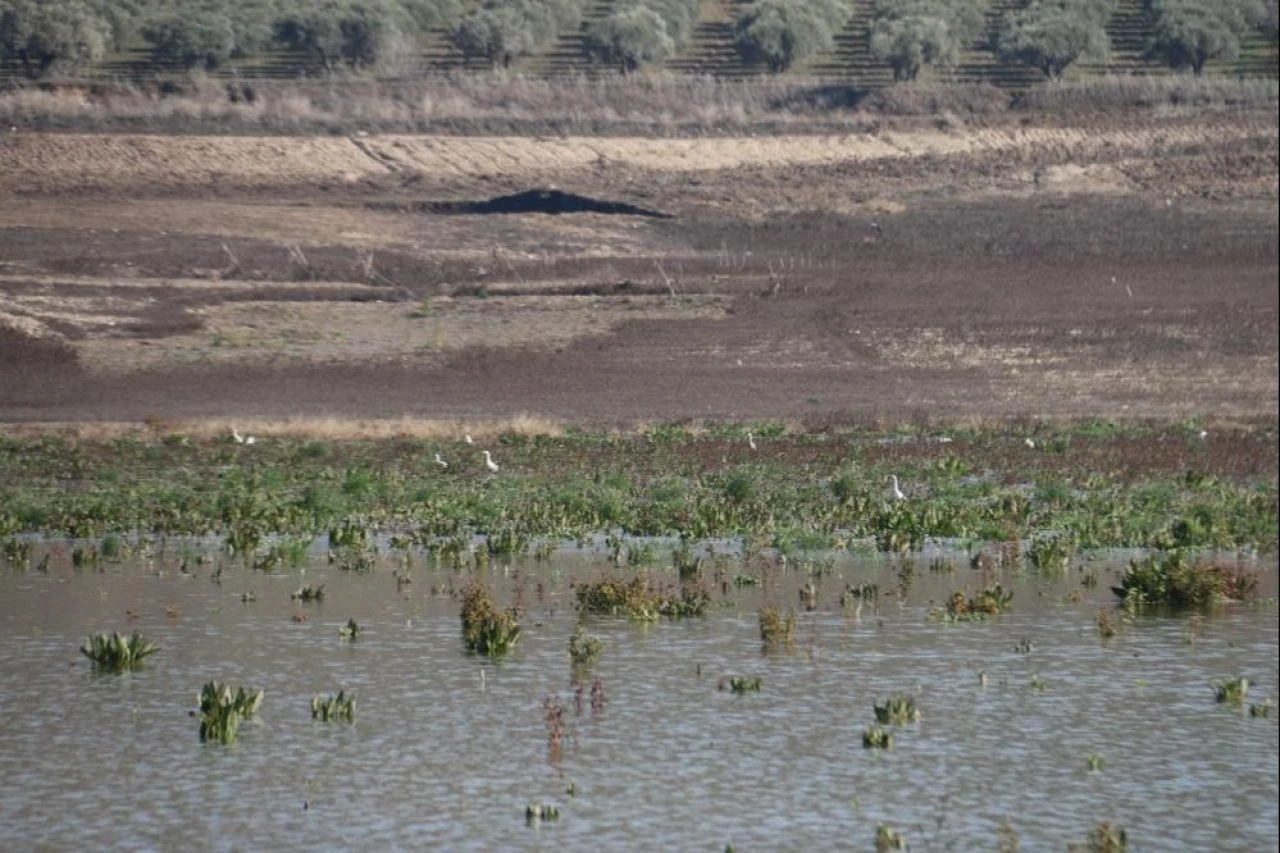 Türkiye'nin en bereketli topraklarında kuraklık alarmı! Barajın suyu metrelerce çekildi