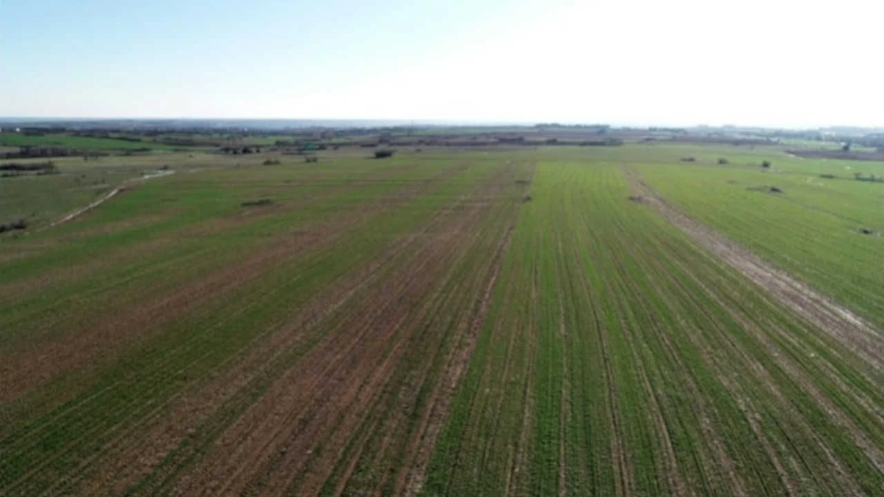 5 milyon liralık dev vurgun! Tarım arazisi çetesine operasyon - 3. Resim