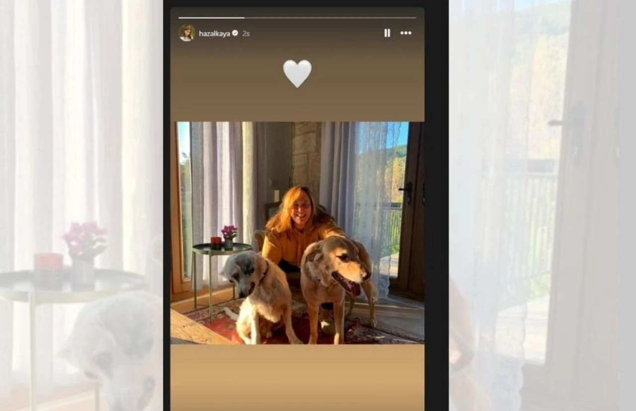 Ayşe Barım tutuklandı! Hande Erçel, Merve Dizdar ve Pınar Deniz'den tepki geldi - 5. Resim