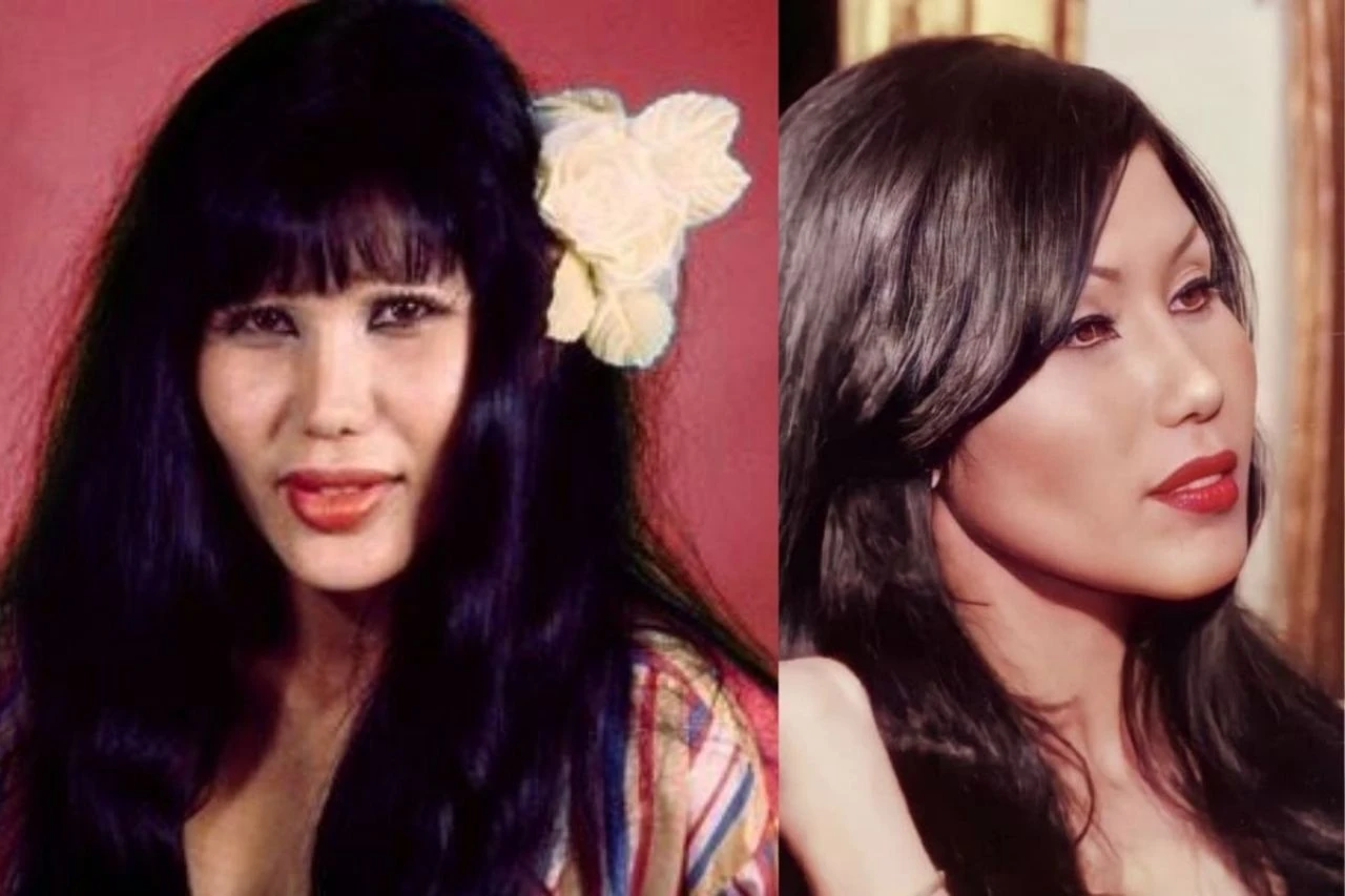 Ünlü oyuncunun estetik tutkusu pahalıya mal oldu! Bir zamanlar güzelliği dillere destandı - 1. Resim