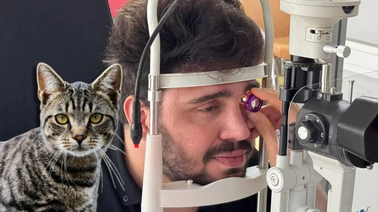 Beslediği kedi gözünden etti! Talihsiz genç hayatını kararttı