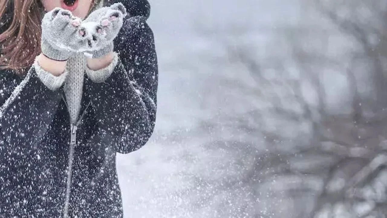 Zemheri ne zaman çıkıyor? Ocak ayının sonunun gelmesiyle birlikte zemheri araştırılmaya başlandı