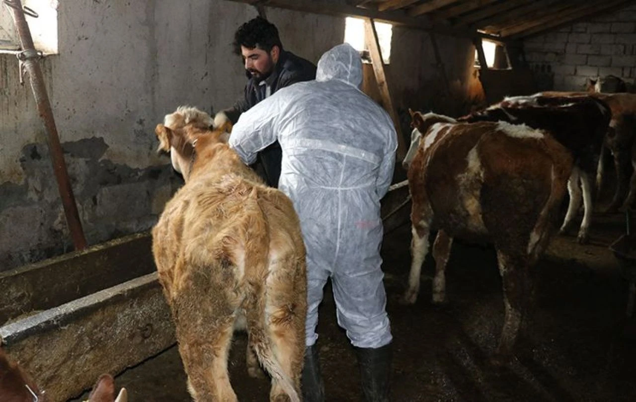 Elazığ'da 3 nokta karantinaya alındı! Giriş çıkışlar kapatıldı - 2. Resim