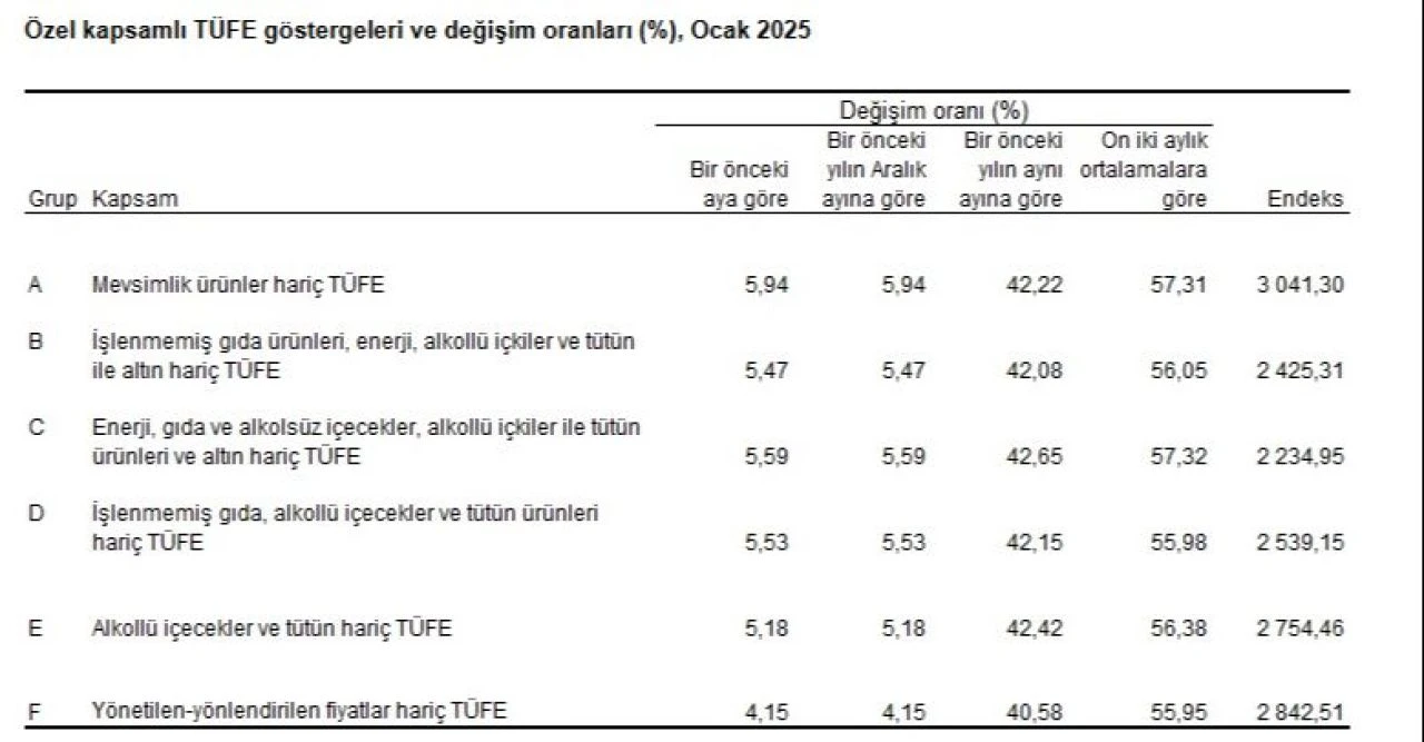 Ocak ayı enflasyon rakamları açıklandı - 3. Resim