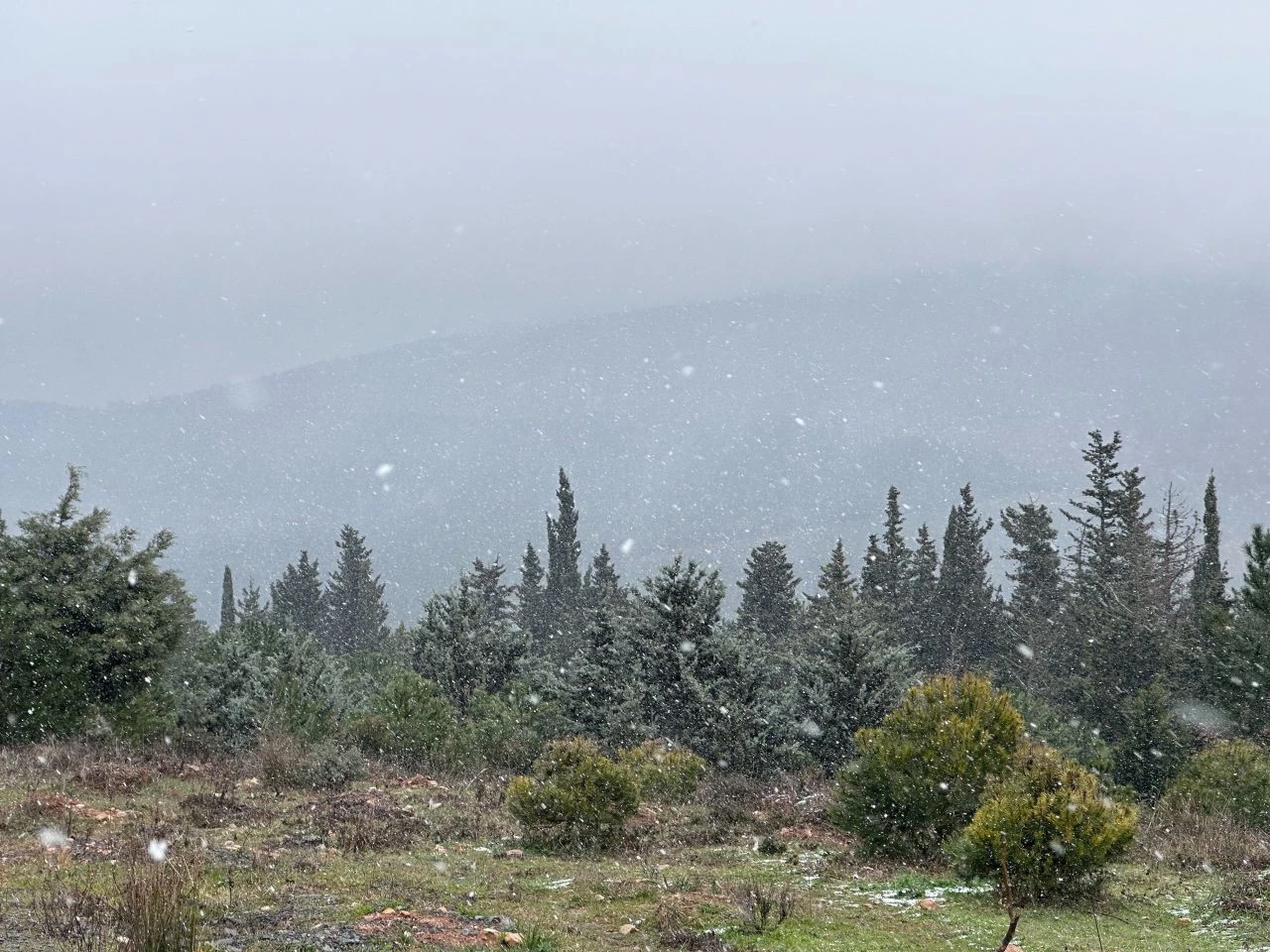 İstanbul'da lapa lapa kar yağdı! Aydos Ormanı'nda masalsı görüntüler - 1. Resim