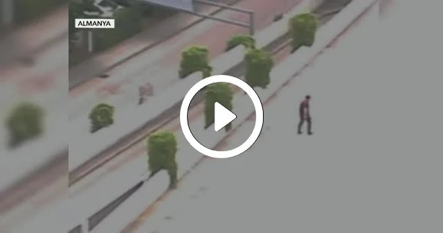 Almanya'da bir haftada dört saldırı