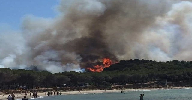 Çanakkale’de korkutan orman yangını