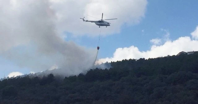İstanbul'da ormanlık alanda 3 ayrı noktada yangın