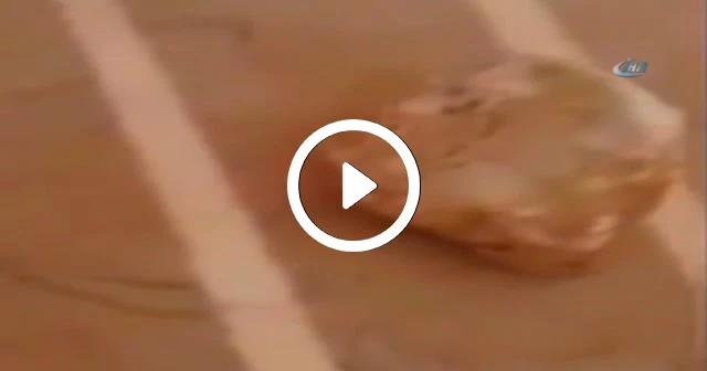 Şaka gibi olay, üzücü bir ölüm!