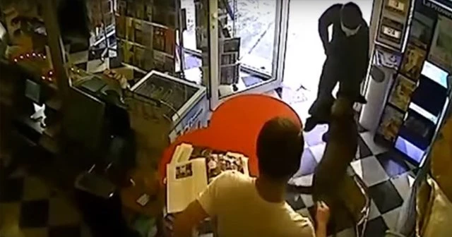 Soyguncu köpeğin hışmına uğradı