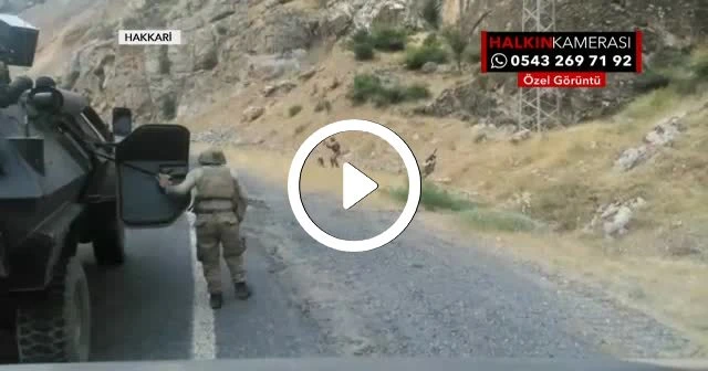 Teröristlerle sıcak çatışma kamerada
