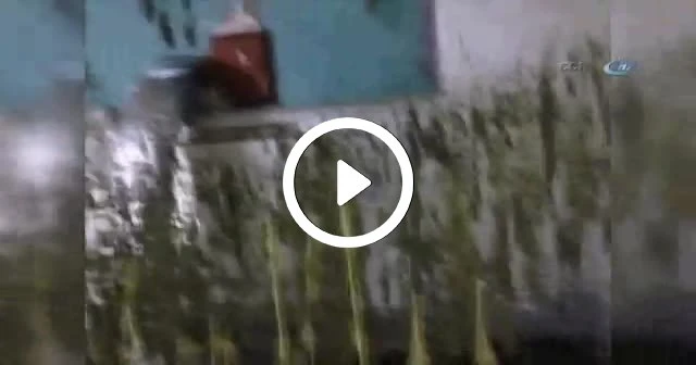 Lüks villadan uyuşturucu çıktı