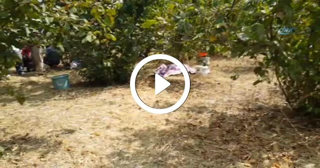 Ailesine kurşun yağdırdı, 2 ölü, 3 yaralı