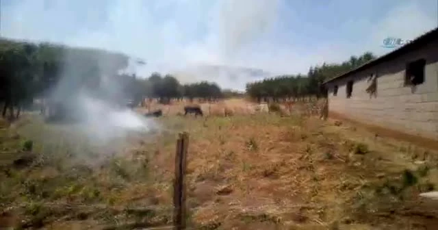 Diyarbakır’da 2 ton esrar ele geçirildi