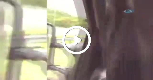 Ters şeritten giden otomobil kazaya davetiye çıkardı