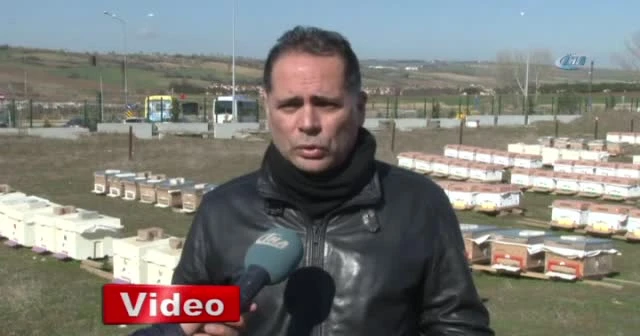 Arıların en büyük düşmanı ‘Yalancı Bahar’