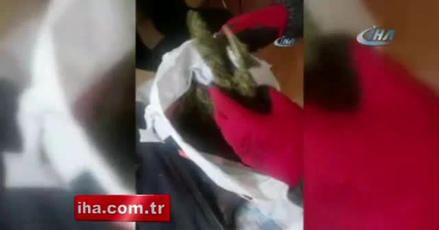 Güvercin kümesine uyuşturucu operasyonu