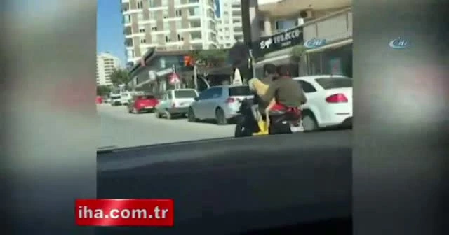 Motosiklette koyunla seyahat