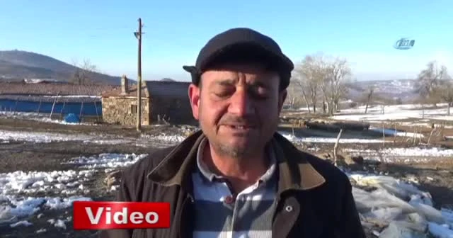 Nesli tükenme tehlikesinde