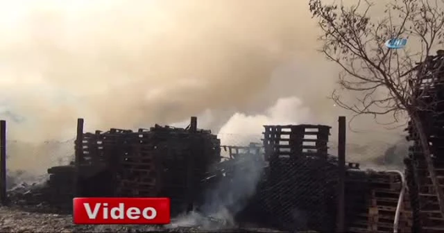 Palet fabrikası alev alev yandı...O anlar kamerada