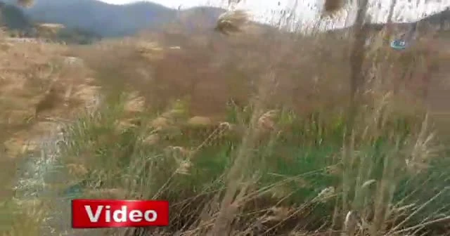 Türkiye’den KKTC’ye giden içme suyu denize akıtılıyor