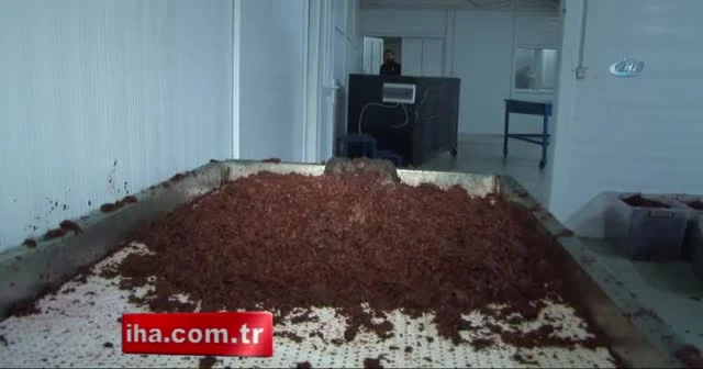 Büyükçekmece'de kaçak nargile tütünü operasyonu
