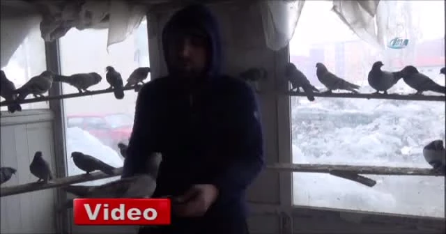 Elektrikli ısıtıcıyla güvercinleri soğuktan koruyor