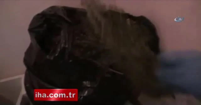 Evi 'esrar' yuvası haline getirmişler