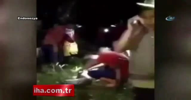 Kayıp şahıs, dev pitonun midesinden çıktı