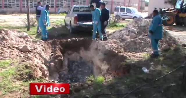 Kuş ölümleri halkı tedirgin ediyor