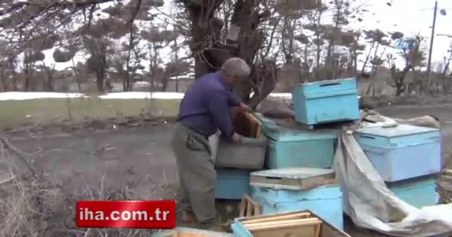 Soğuk balı vurdu
