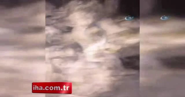 Tendürek Dağı’nda operasyon