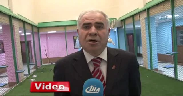 Van kedilerine çipli takip sistemi