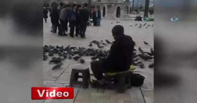 Zabıtalar yaşlı adamın 1 TL'ye sattığı yemleri döktü