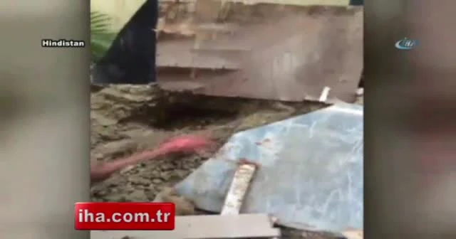 Zehirli yılanla oyuncak gibi oynadı