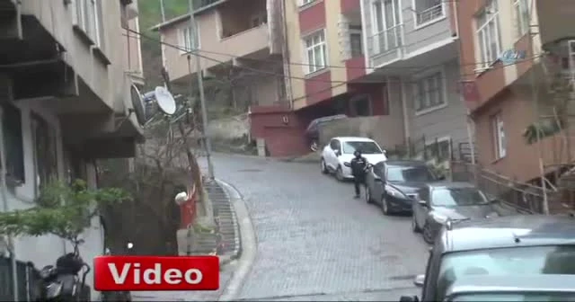 Bonzai içen genç araçla manava girdi