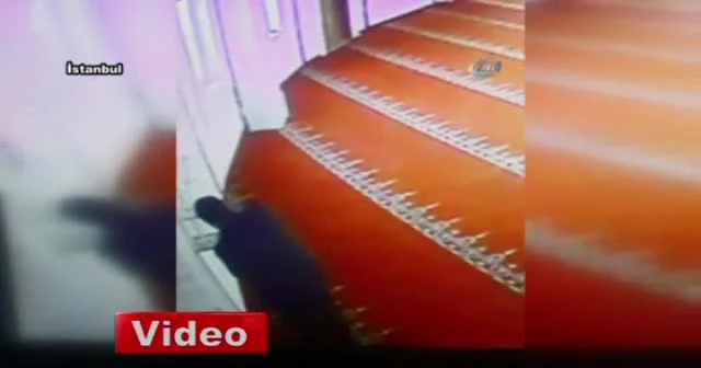 Bu kadarına da pes!