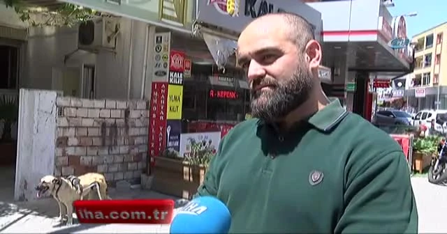 Duyarlı esnaftan felçli köpeğe yürüteç