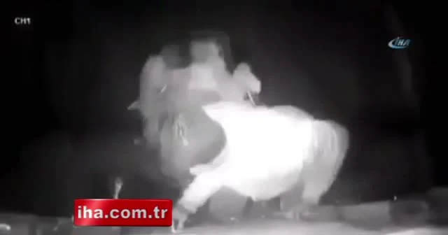Film gibi soygun girişimi!