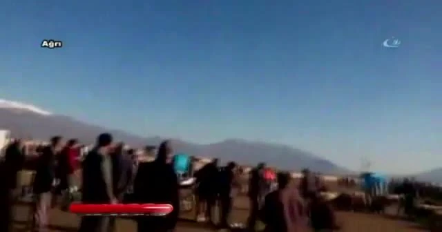İnek hayvan pazarını arenaya çevirdi