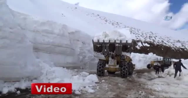 Kar kalınlığının 10 metreyi bulduğu Muş'ta çalışmalar sürüyor