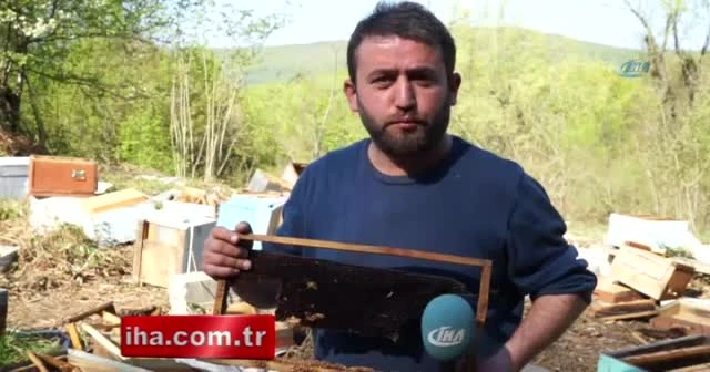 Kış uykusundan uyanan ayılar, 120 arı kovanını parçaladı