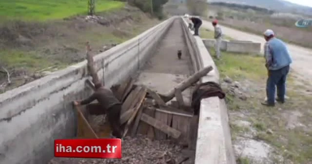 Ne yaptılarsa olmadı: Tam 4 saat yakalamaya uğraştılar