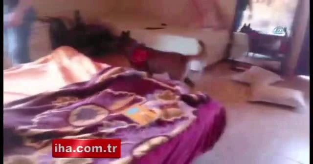 Ünlü oyuncu Selim Erdoğan adliyeye sevk edildi